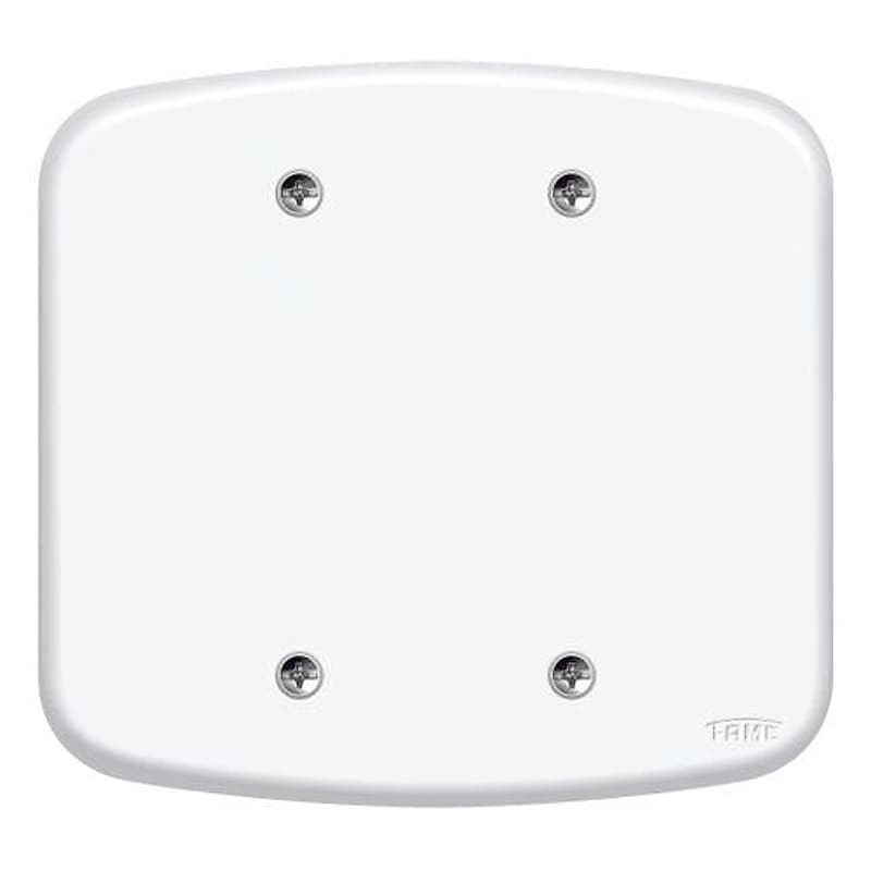 Placa Cega 4x4 Branca Série Blanc Fame — Campinas
